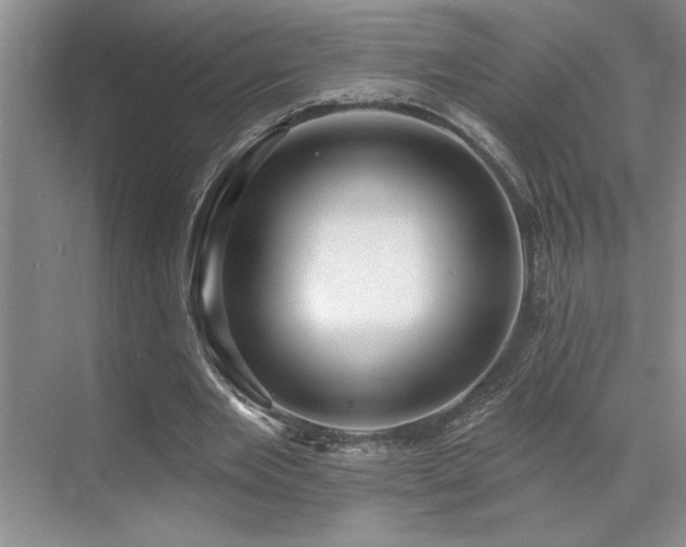 X0000071820485200606301257