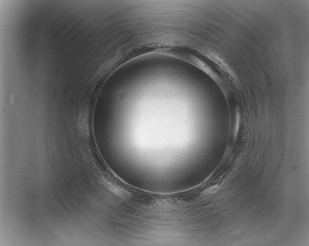 X0000071820489200606301256