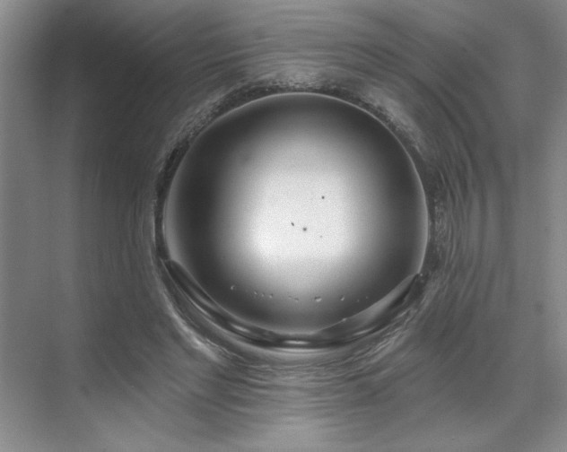 X0000071820493200606301256