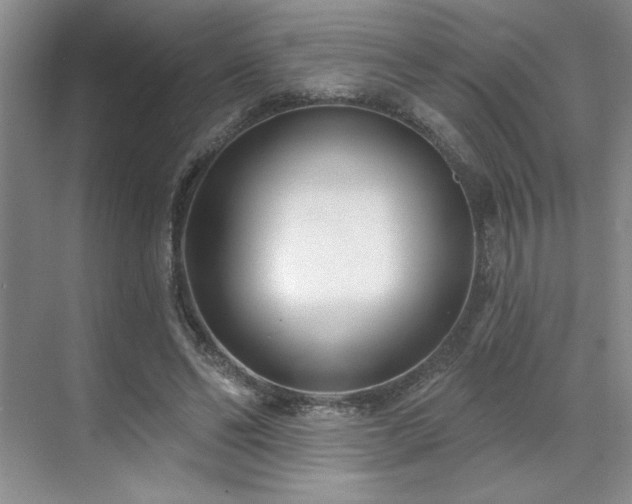 X0000071820494200606301256