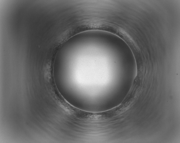 X0000071820497200606301256