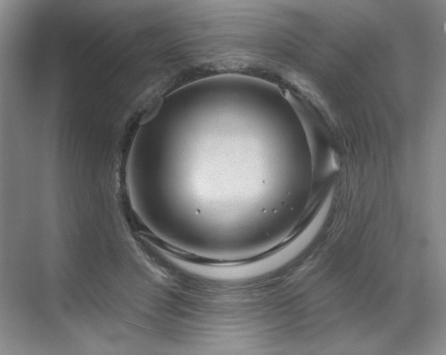 X0000071820501200606301256
