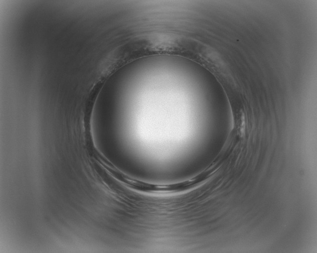 X0000071820508200606301256