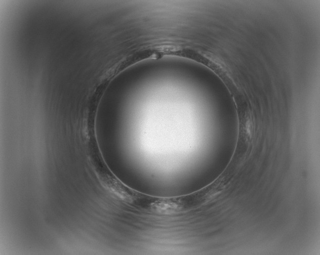 X0000071820512200606301256