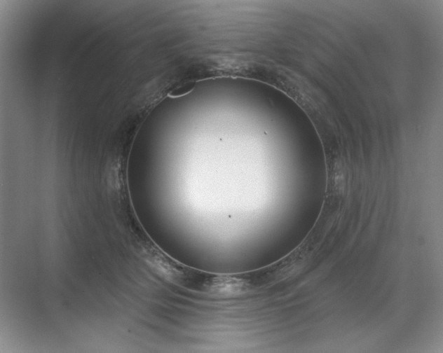 X0000071820514200606301256