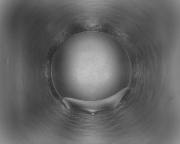 X0000071820515200606301256
