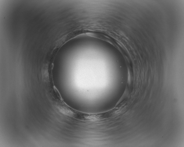 X0000071820516200606301256