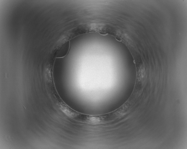 X0000071820522200606301256