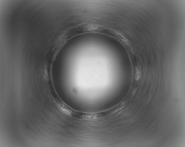 X0000071820524200606301256