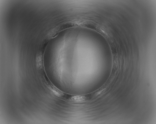 X0000071820526200606301256