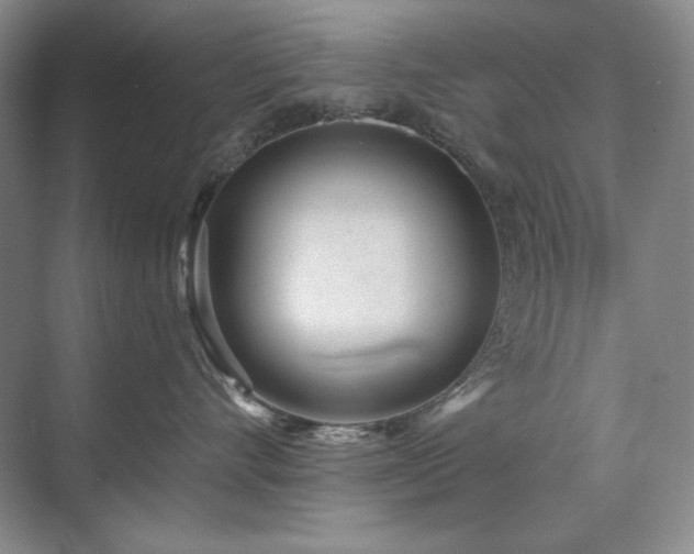 X0000071820528200606301256