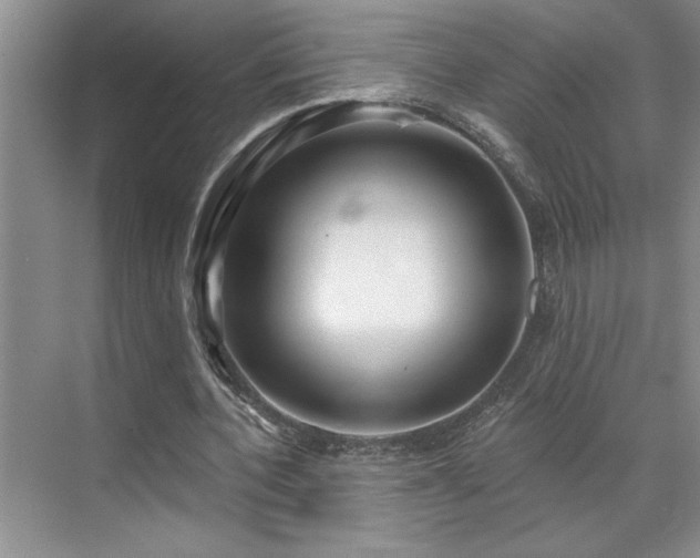 X0000071820532200606301255