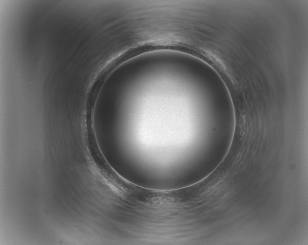 X0000071820535200606301255