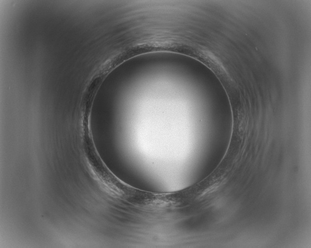 X0000071820542200606301255