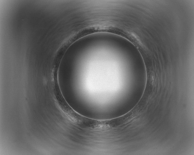 X0000071820543200606301255