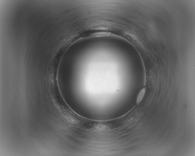 X0000071820547200606301255