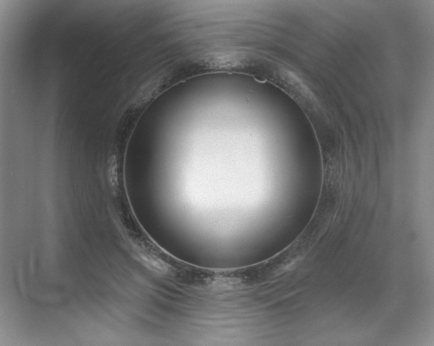 X0000071820549200606301255