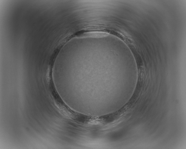 X0000071820550200606301255