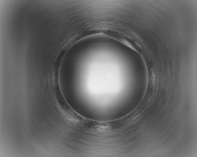 X0000071820552200606301255