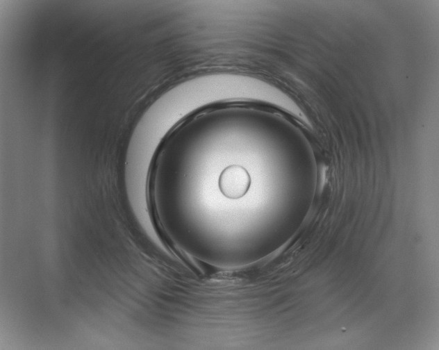 X0000071820556200606301255