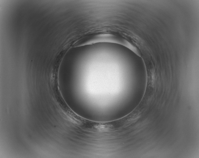 X0000071820558200606301255
