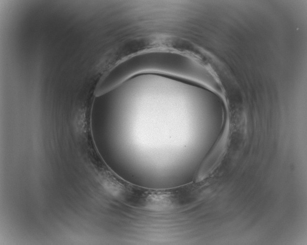 X0000071820560200606301256