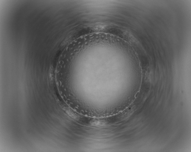 X0000071820561200606301256