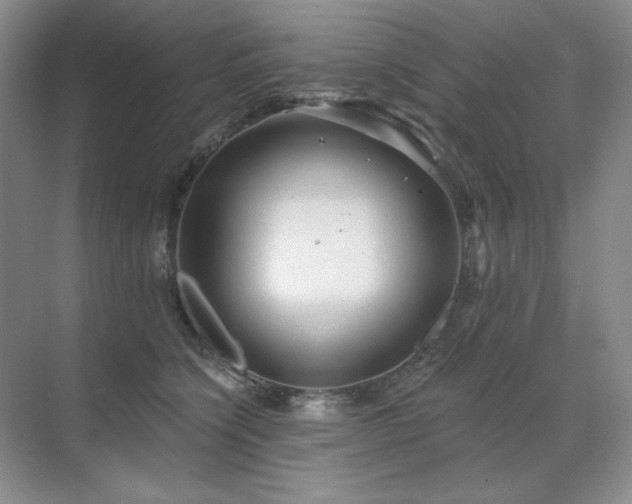 X0000071820564200606301256