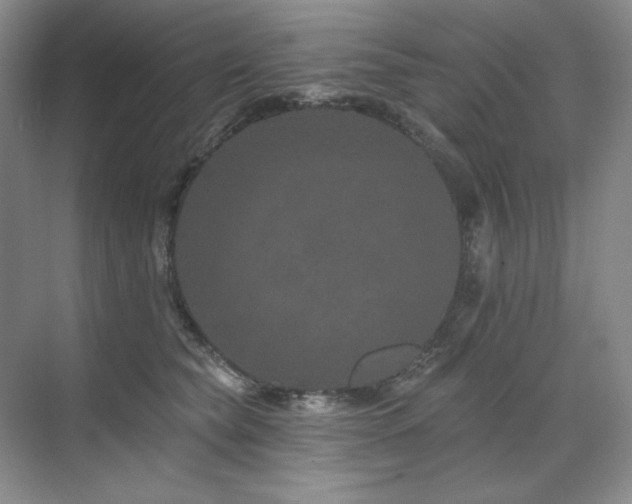 X0000071820565200606301256