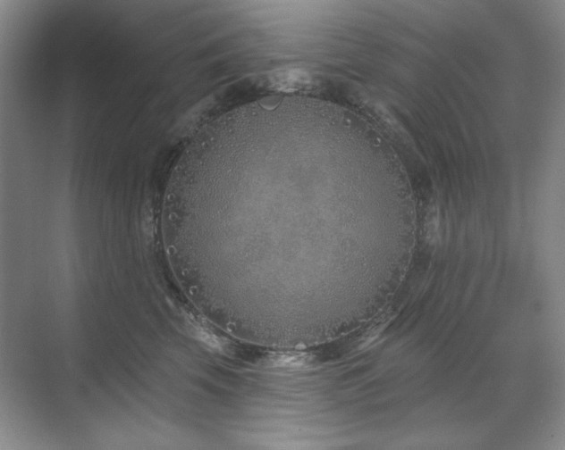 X0000071820569200606301256