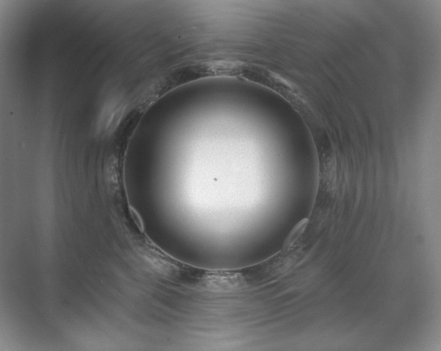 X0000071820571200606301256