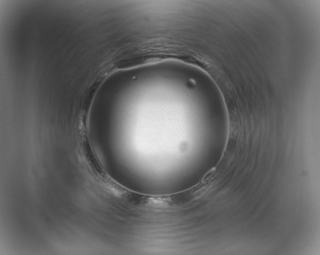 X0000071820573200606301256