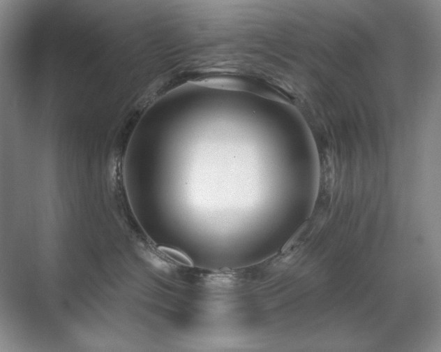 X0000071820574200606301256