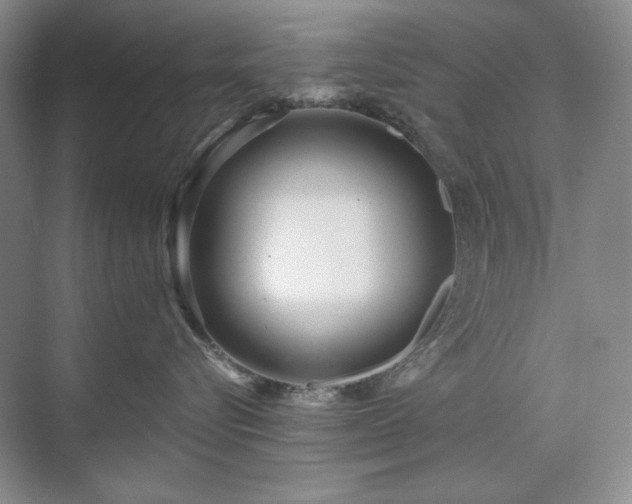 X0000071820576200606301256