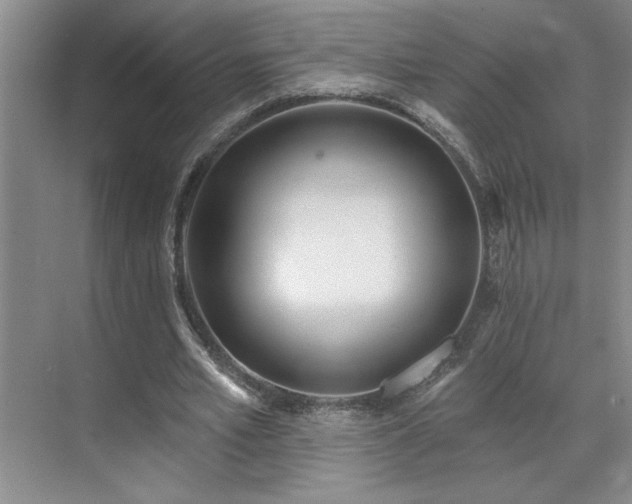 X0000071820581200606301255