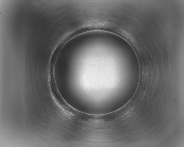 X0000071820582200606301255
