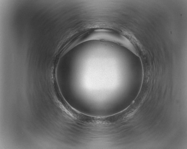 X0000071820585200606301255
