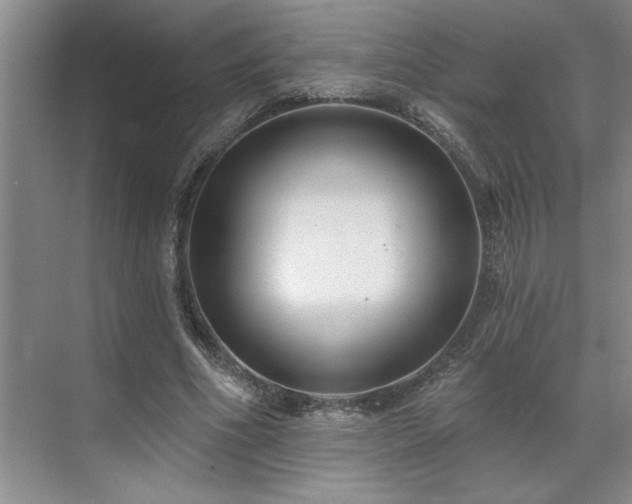X0000071820586200606301255