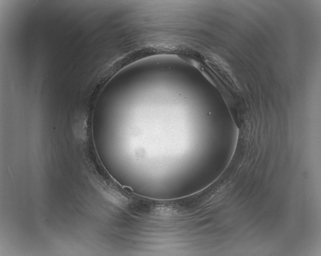 X0000071820596200606301255