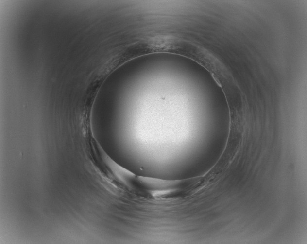 X0000071820601200606301255