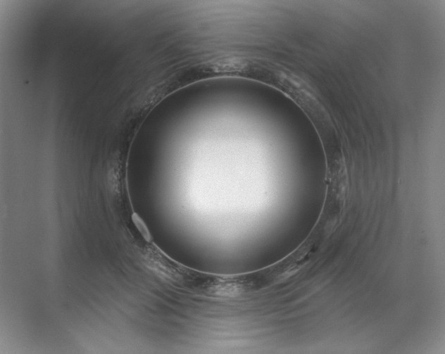 X0000071820604200606301255