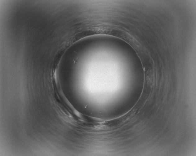X0000071820605200606301255