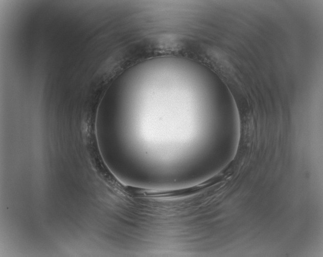 X0000071820608200606301254