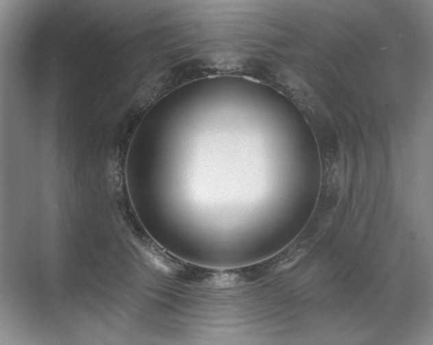 X0000071820609200606301254
