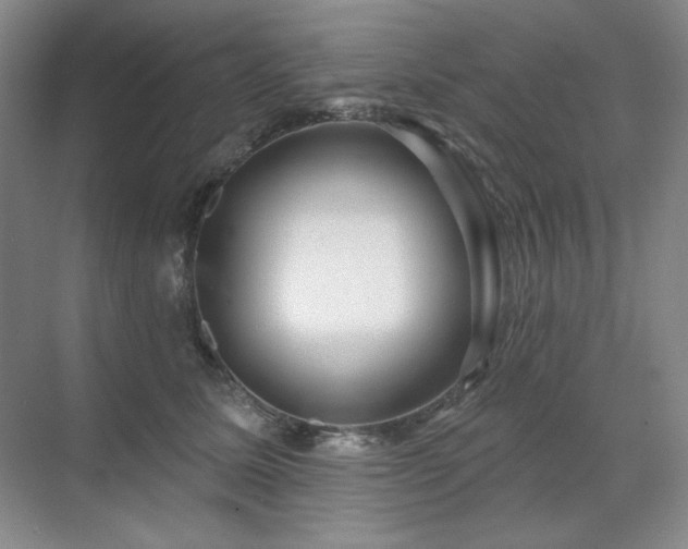X0000071820611200606301254