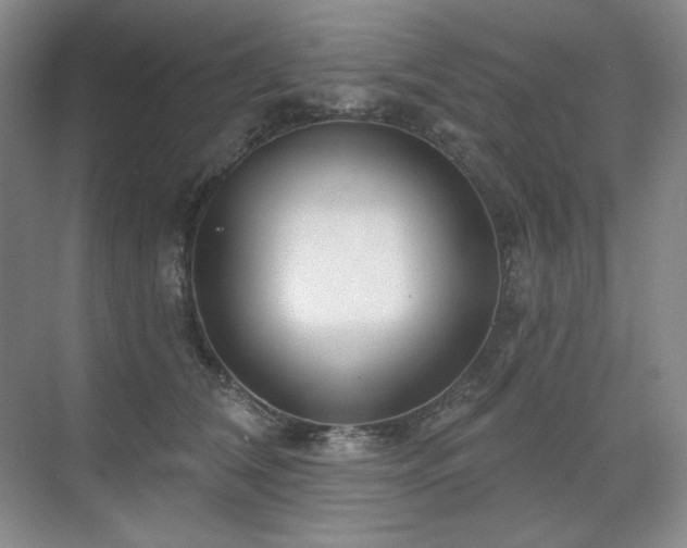 X0000071820612200606301254