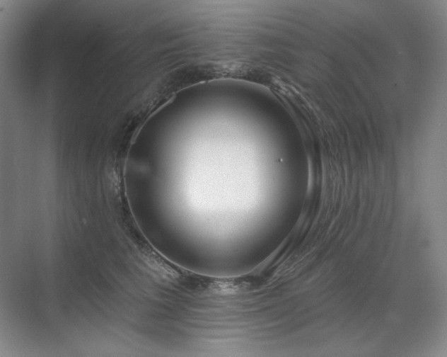 X0000071820613200606301254