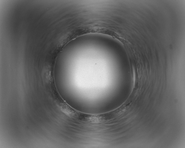 X0000071820615200606301254