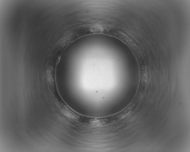 X0000071820616200606301254