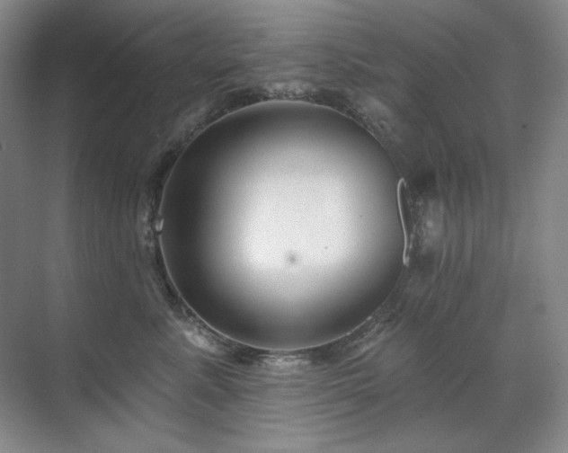X0000071820619200606301254